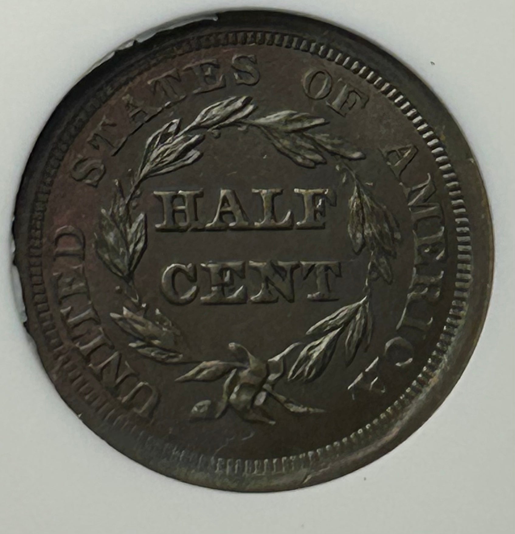 1856 Braided Hair Half Cent - NGC MS-63 RB