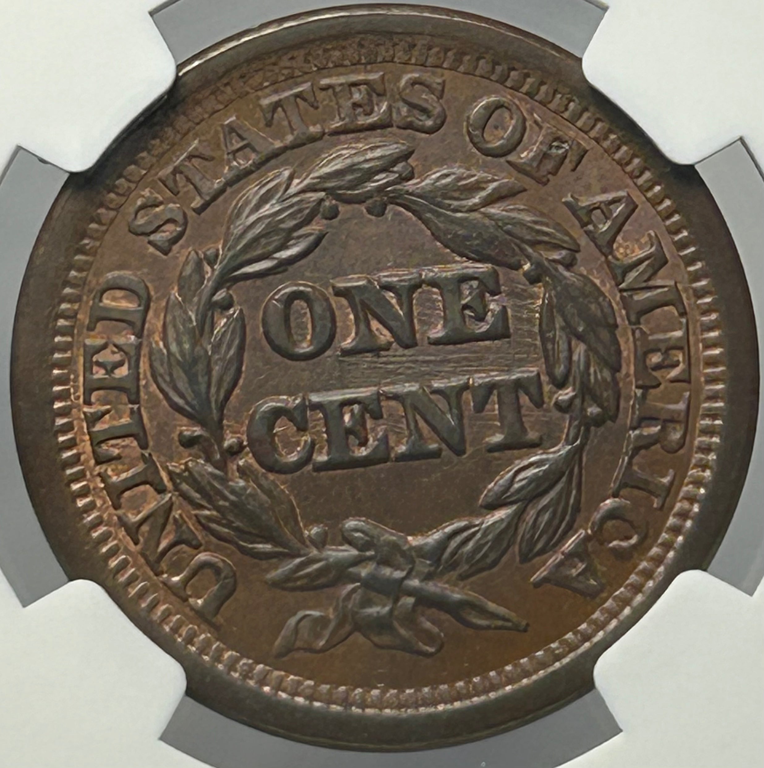 1850 Braided Hair Large Cent - NGC MS-65 BN