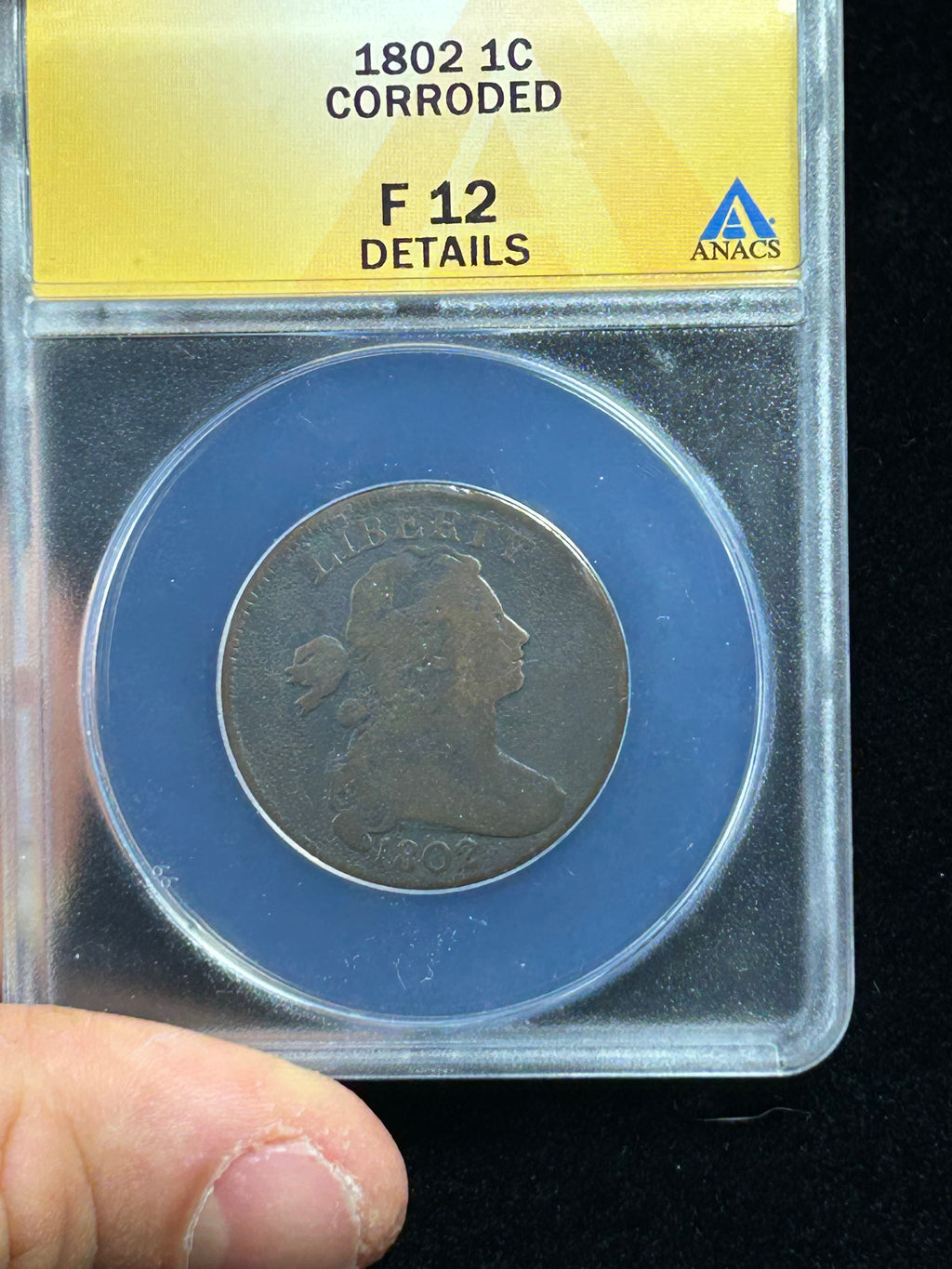 1802 Draped Bust Large Cent - ANACS F-12 Details
