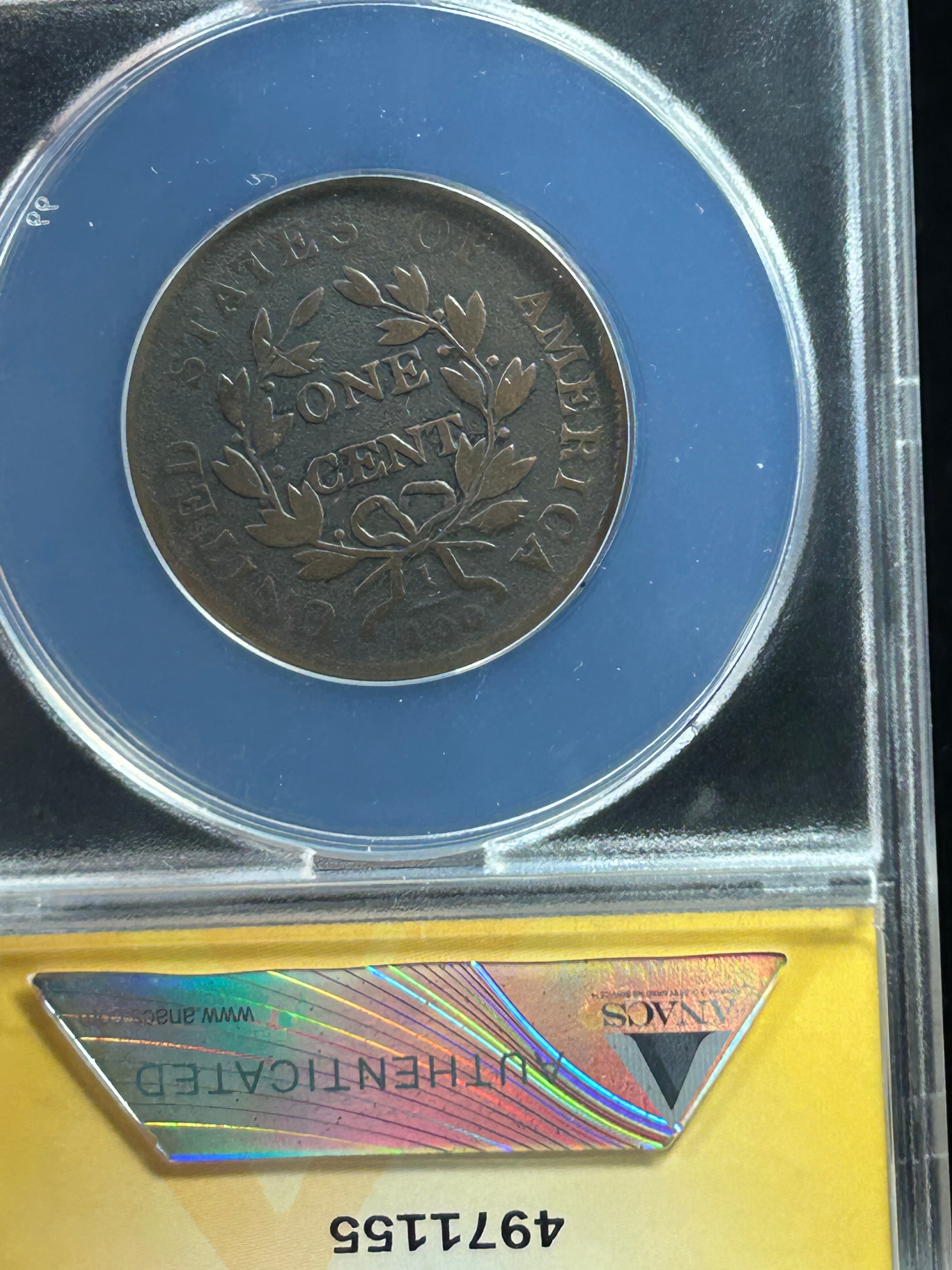 1802 Draped Bust Large Cent - ANACS F-12 Details